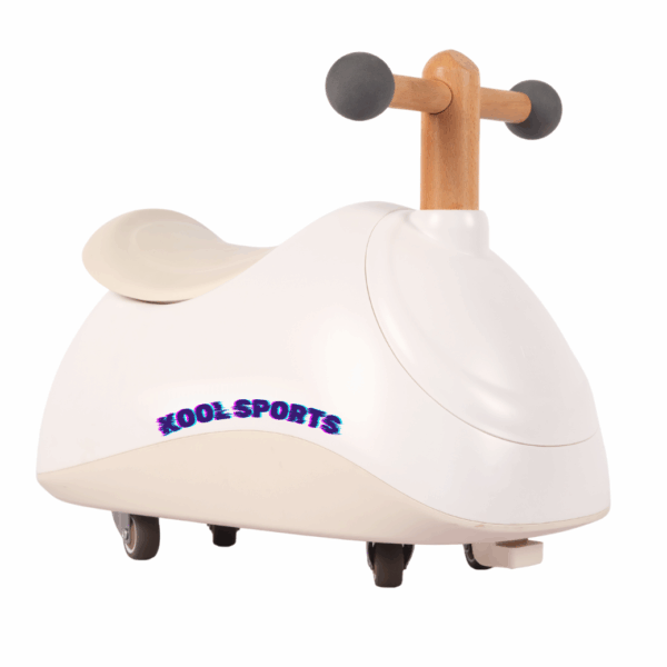 TD001 TD001 - 2-in-1 Swing Stroller