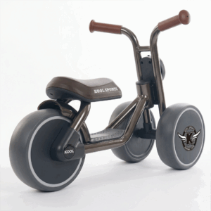 TD005 - Walking Bike