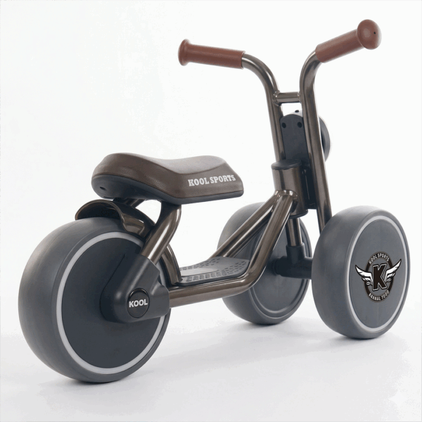 TD005-2 TD005 - Walking Bike